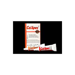 Root Canal Sealer Calcium Hydroxide base Kit (base and catalyst)